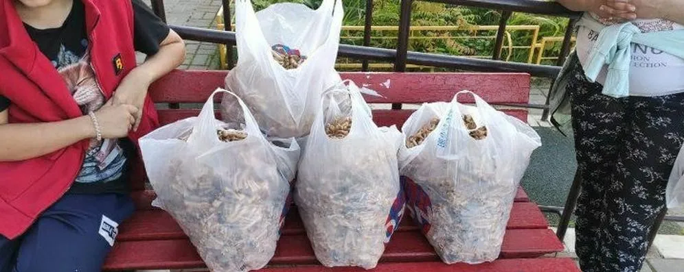 Фото: Микрорайон Малая Истра / ВКонтакте