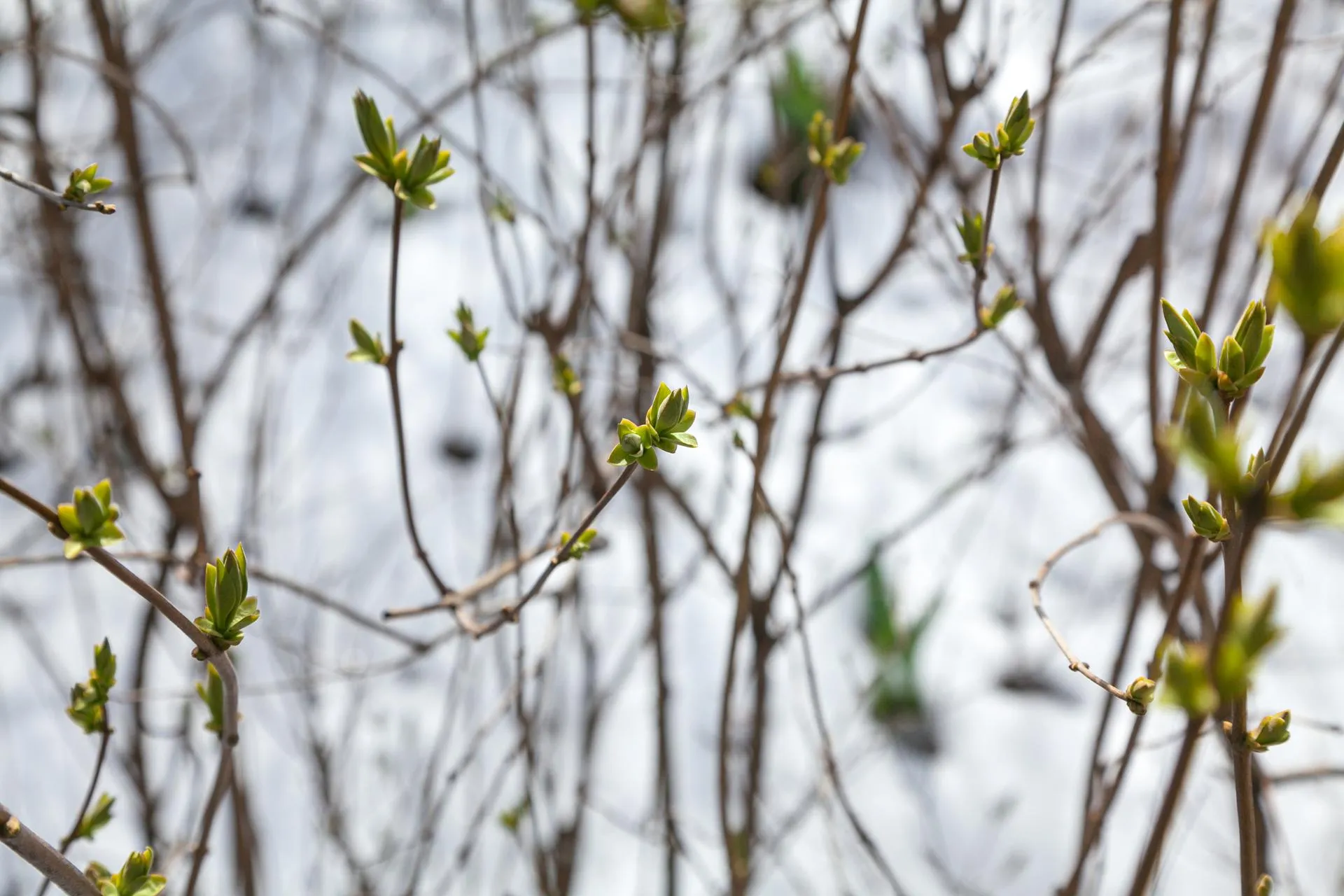 медиасток.рф