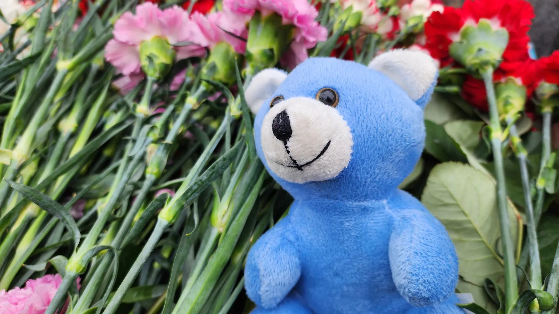 Фото: Екатерина Данилина