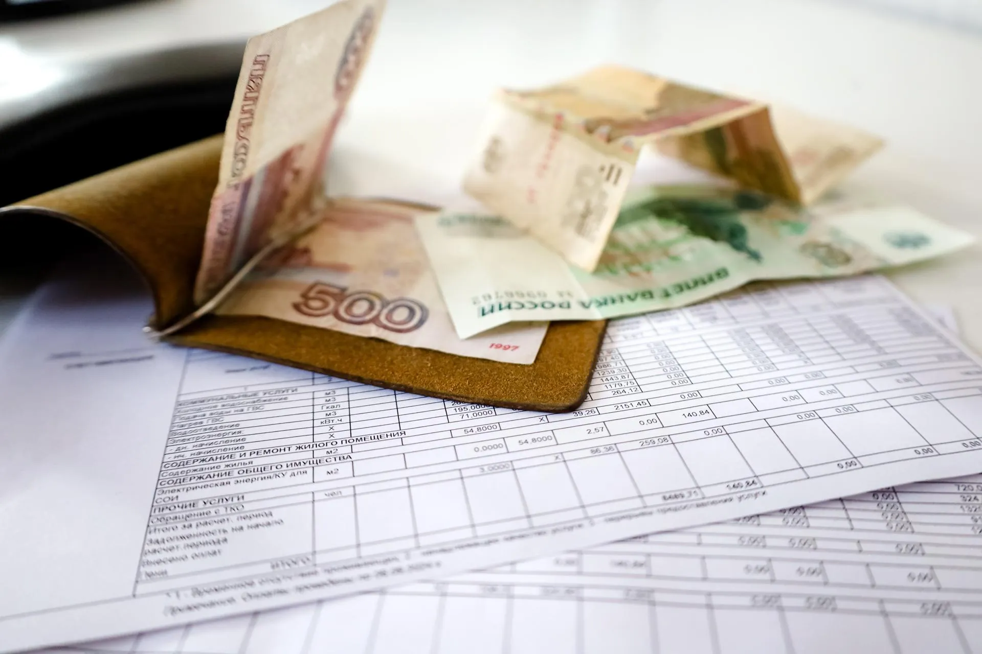 Elena Mayorova/Global Look Press