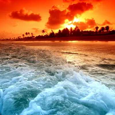 Дарья Антипина