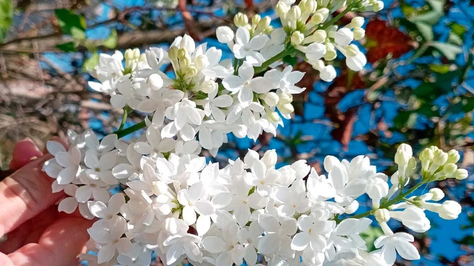 Фото: Наталья В.