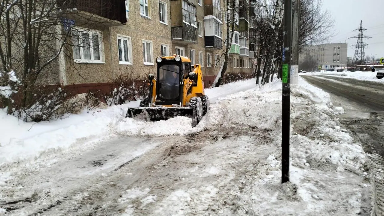 фото: Собакин Official / telegram