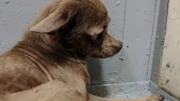 Фото: предоставлено очевидцем