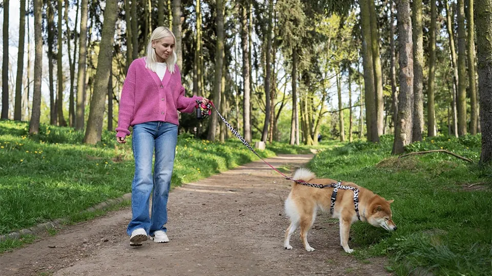 Фото: freepik.com