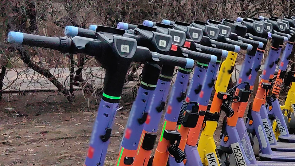 Фото: МедиаБанк Подмосковья/Елена Катасонова