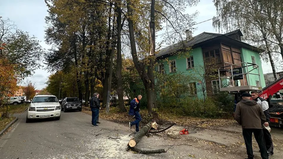 Фото: Администрация г.о. Фрязино