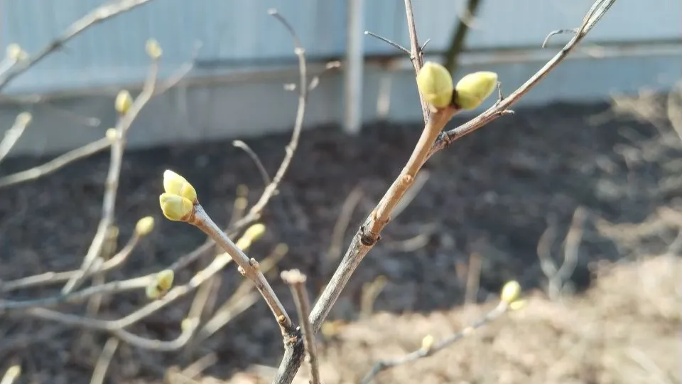 Фото: REGIONS/Василий Тремасов