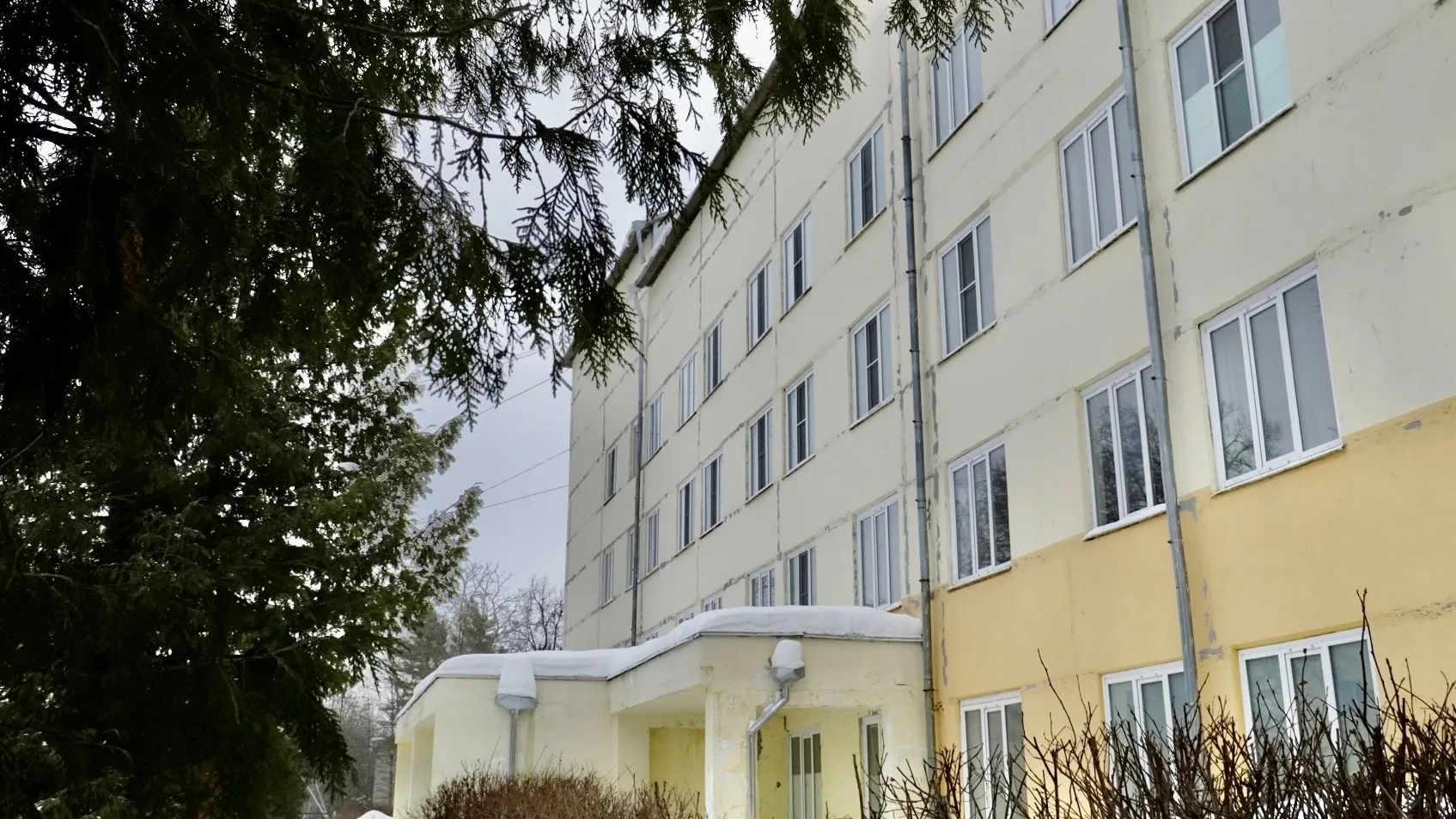 Фото: Денис Мордвинцев️️ / Telegram