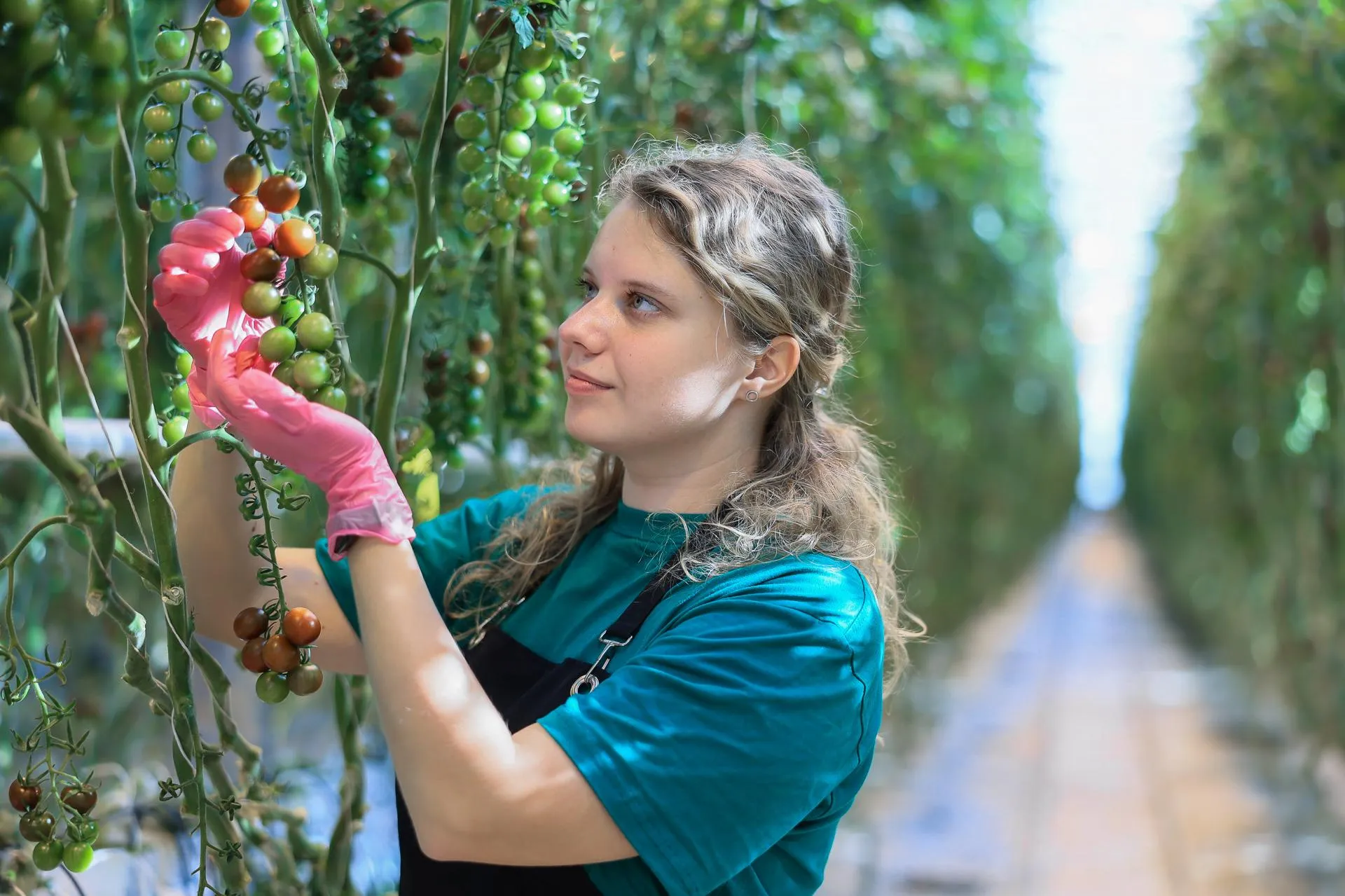 пресс-служба губернатора и правительства Московской области
