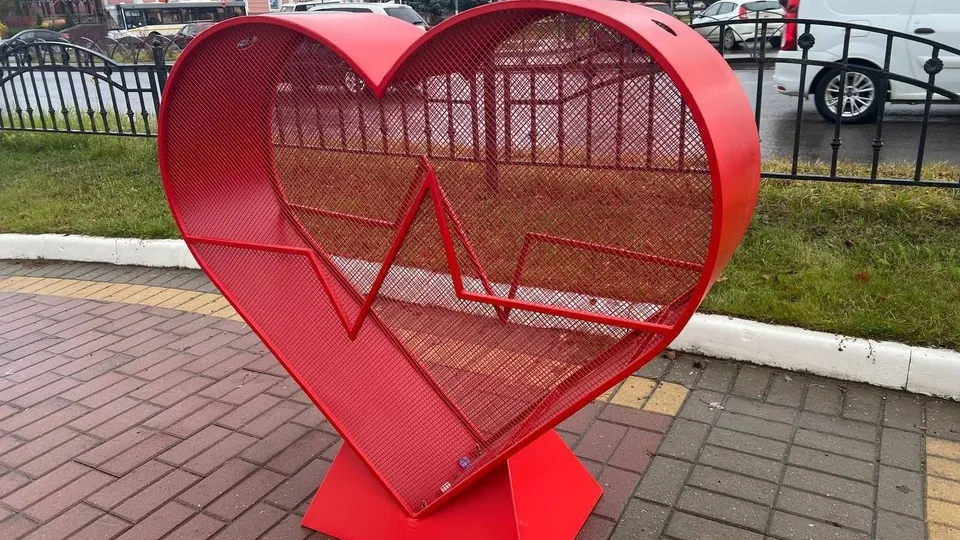 Фото: пресс-служба администрации г.о. Бронницы