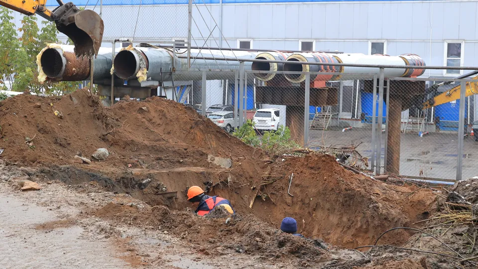 Фото: Алексей Грызлов