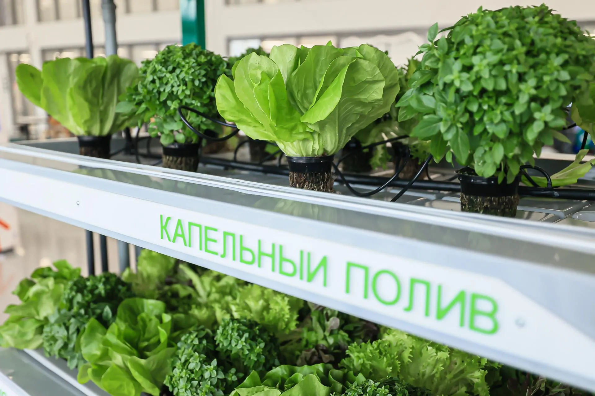 Физтех-лицей имени Капицы