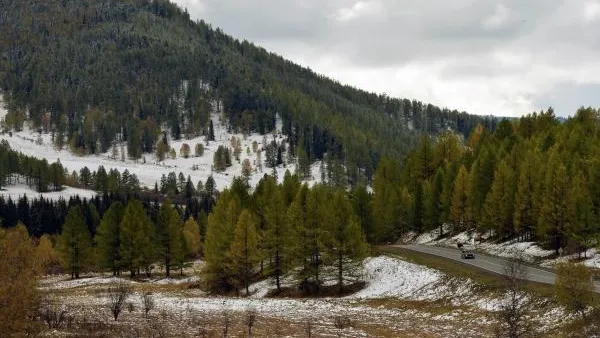 В некоторых регионах России пройдет снег