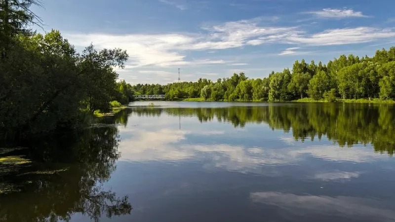 Фото: администрация г.о. Красногорск