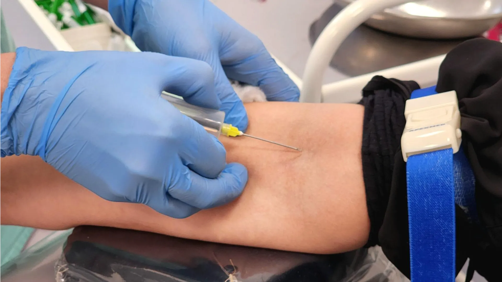 Фото: REGIONS/Мария Овчинникова