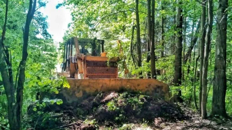 В Подмосковье обустроили и расчистили 222 км лесных дорог