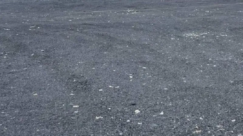 Фото: Минэкологии МО