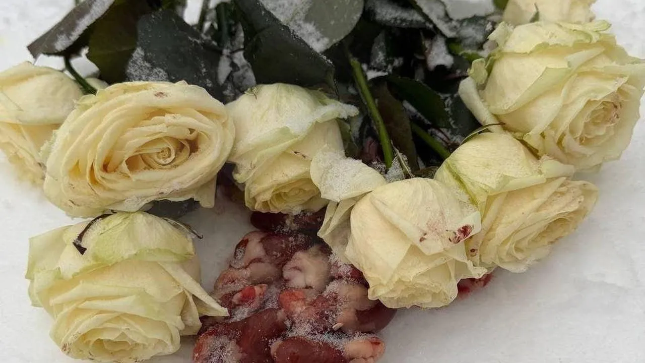 личный архив Анастасии Латыгиной