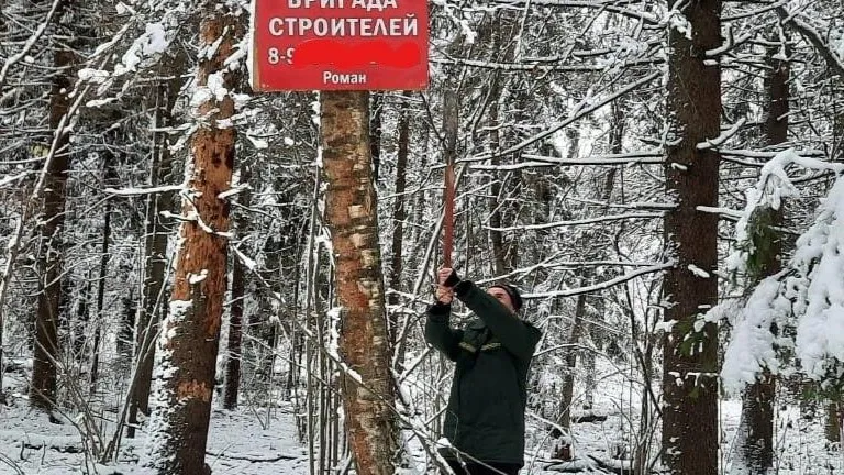 Фото: Комитет лесного хозяйства Московской области