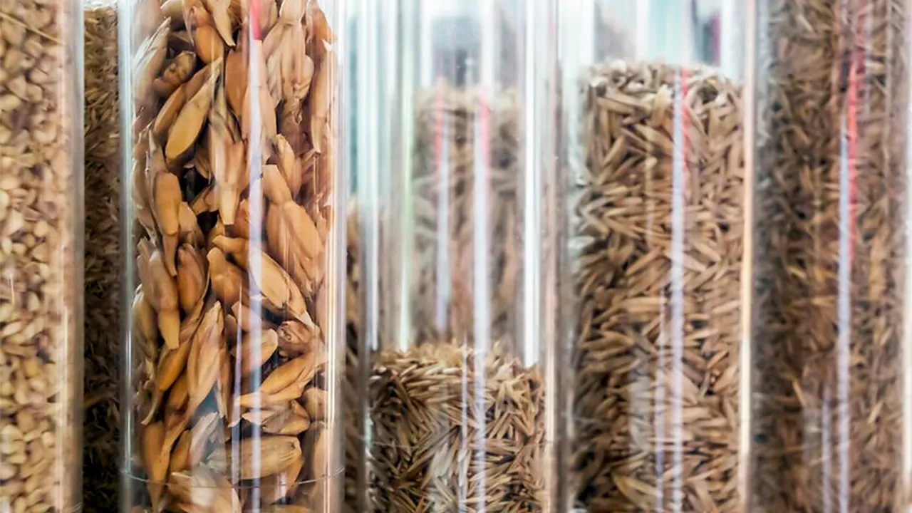 istockphoto.com/TomekD76