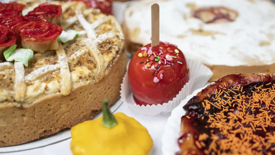 Фото: пресс-служба администрации Ленинского г.о