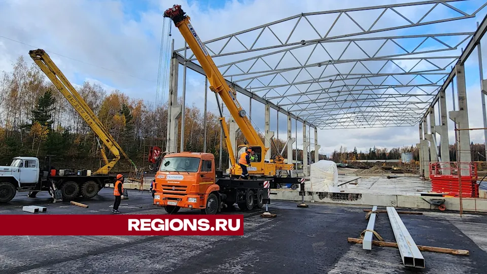 Фото: Дмитрий Алексеенко