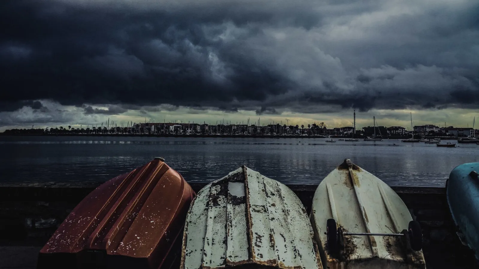 Фото: freepik.com