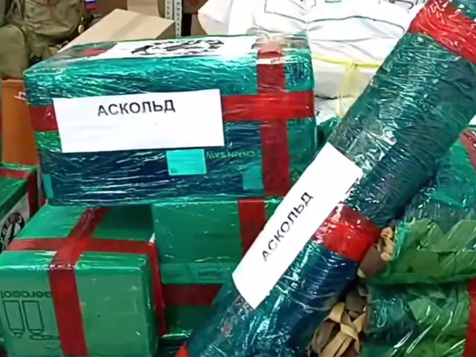 Фото: Раменский медиацентр