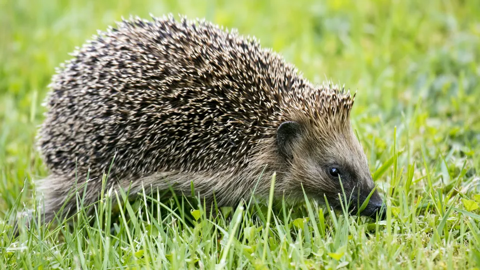 Фото: freepik.com