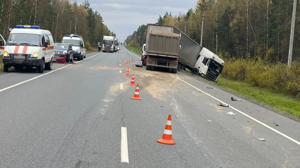 Фото: Госавтоинспекция Московской области