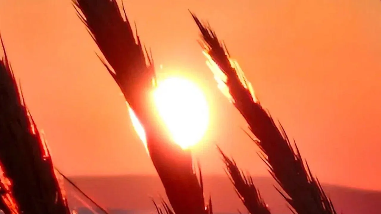 REGIONS/Наталья Надточая