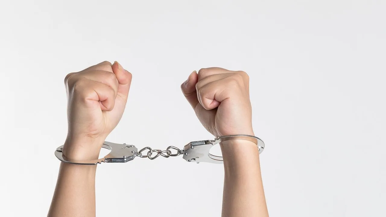 В Санкт-Петербурге задержаны подозреваемые в нападении на адвоката Пономареву