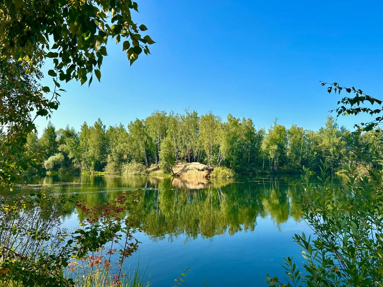 Картинка