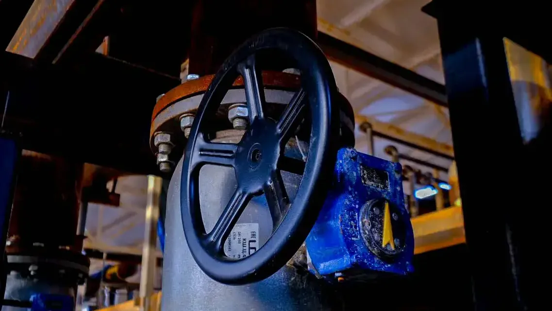 пресс-служба губернатора и правительства Московской области/Александра Степанова