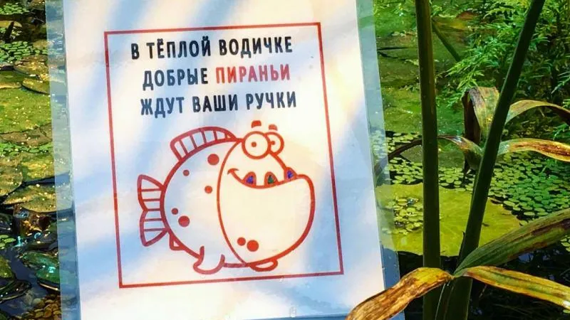 Пресс-служба «Аптекарского огорода»