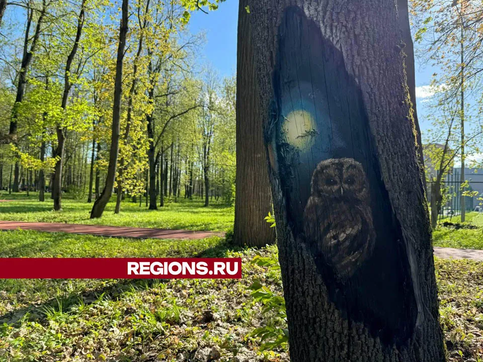 Фото: Валерия Тингаева