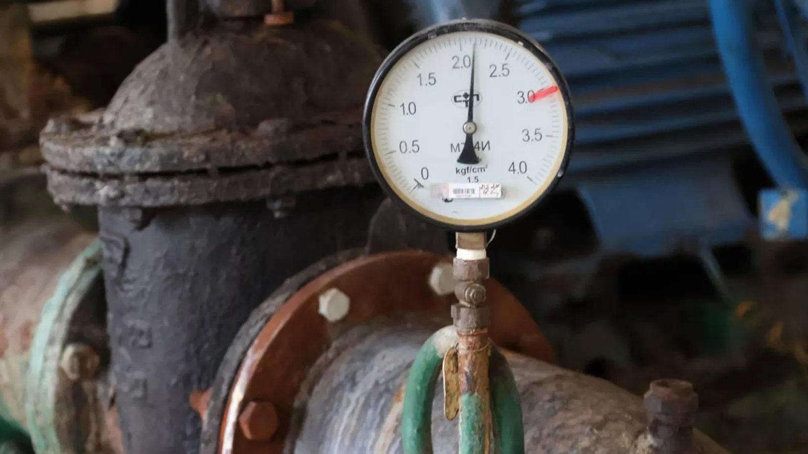 Фото: пресс-служба администрации г.о. Ступино