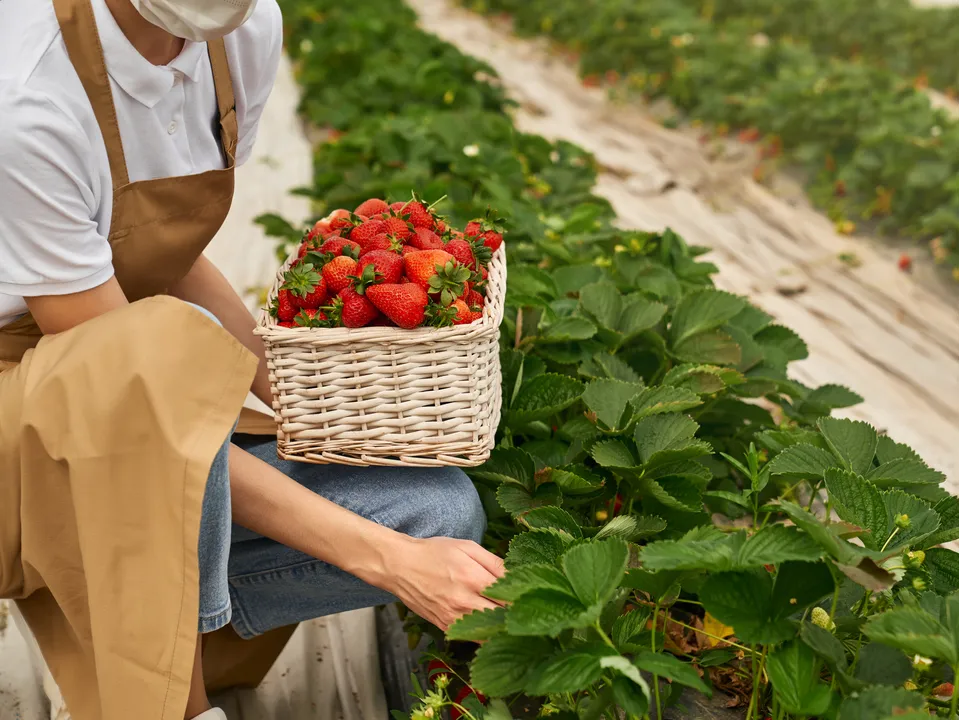 Фото: freepik.com