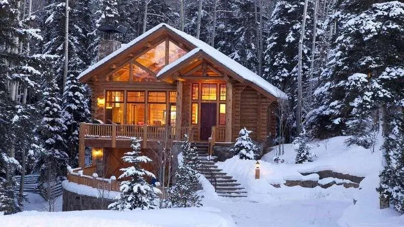 Арендаторов лесных земель проверят в Подмосковье