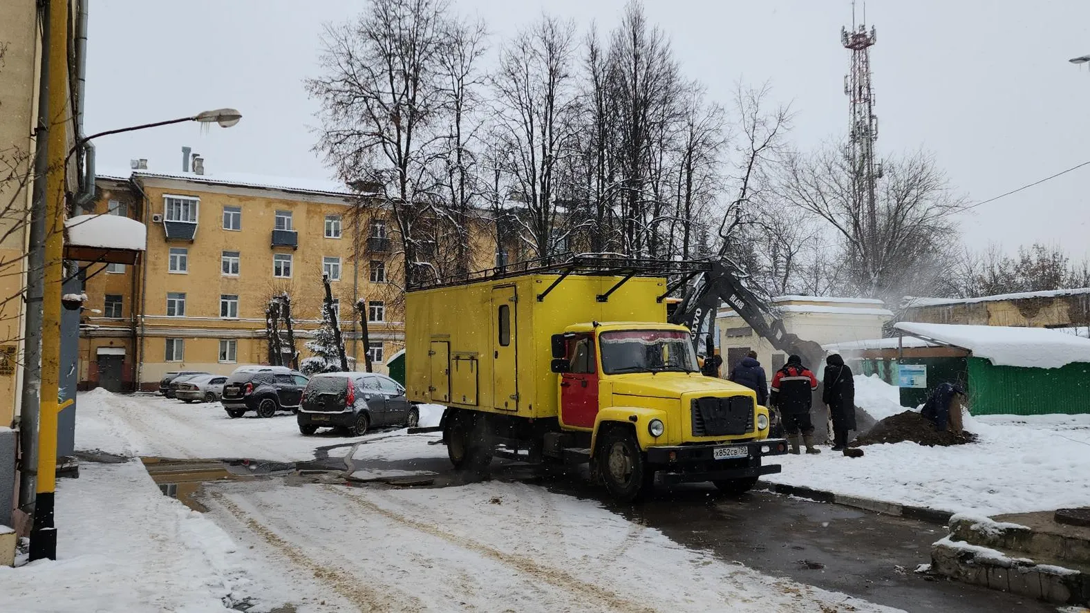 Нина Басистая