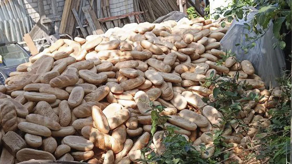 фото:соцсети