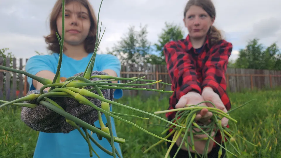 Фото: МедиаБанк Подмосковья/Андрей Семибратов