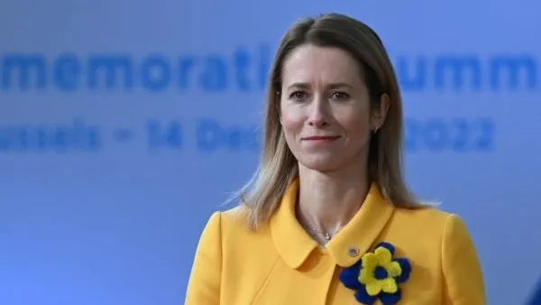 Эксперт Межевич дал оценку требованию премьера Эстонии к Украине