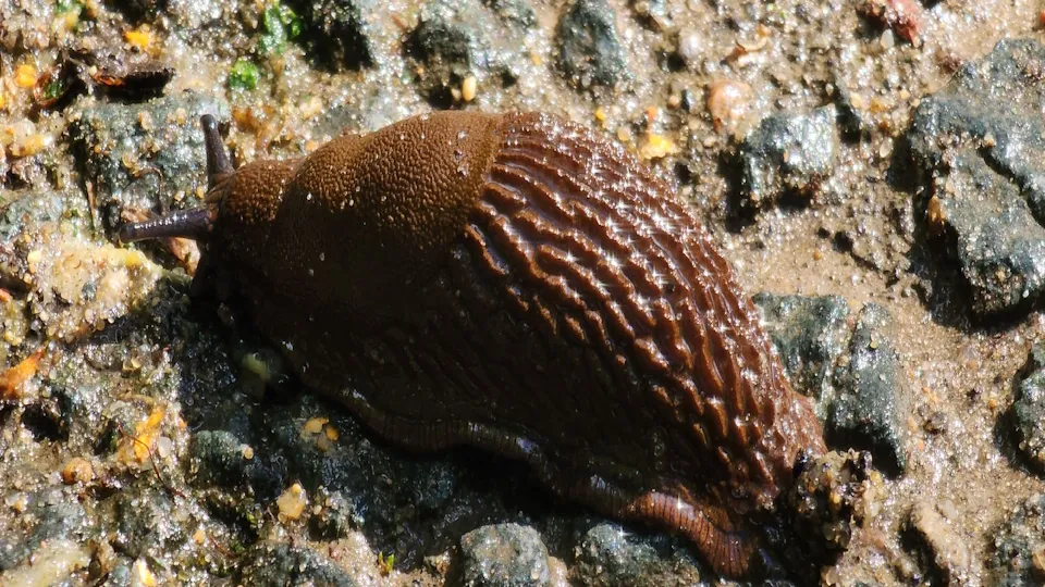 Фото: МедиаБанк Подмосковья/Никита Сморкалов