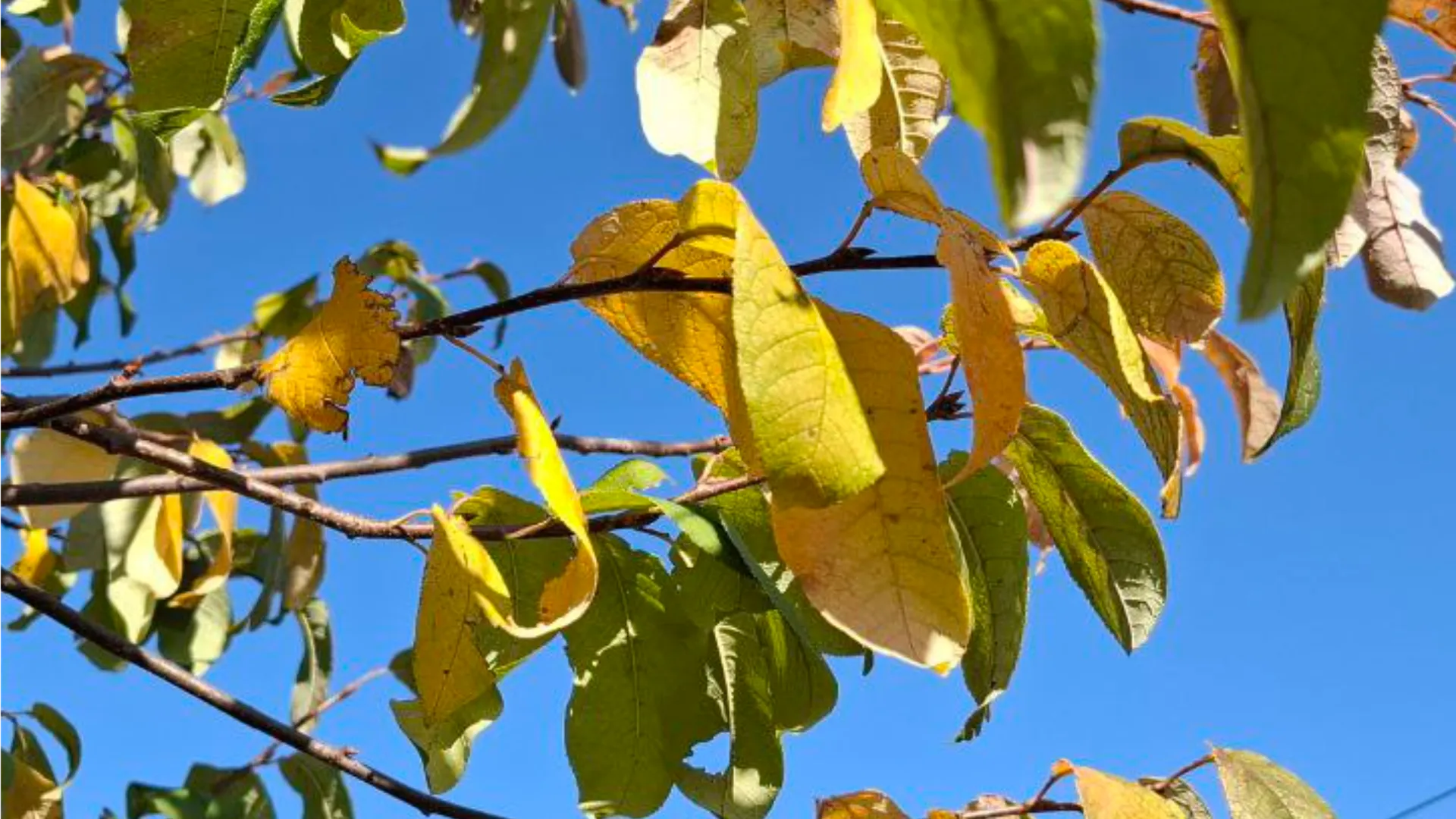 Фото: REGIONS/Юлия Габбасова