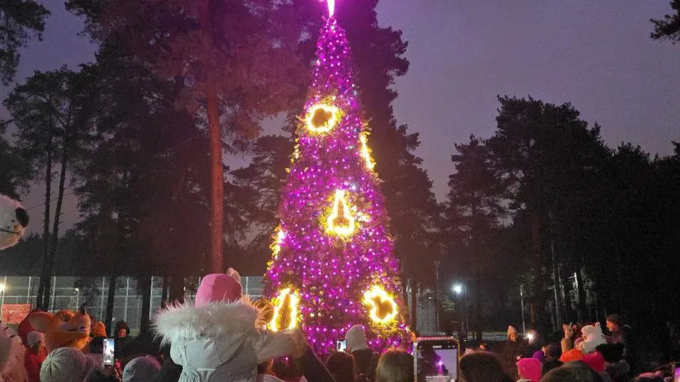 Фото: пресс-служба администрации г.о.Котельники