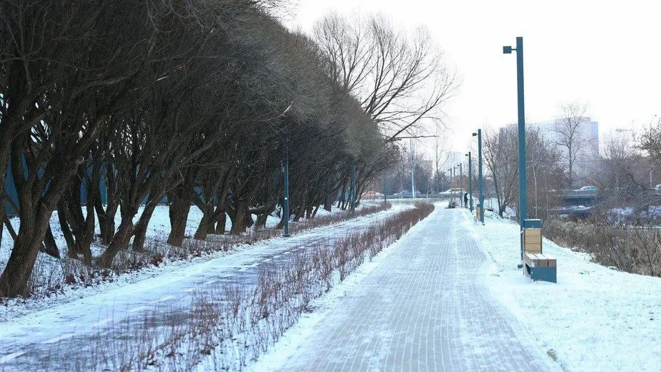 Фото: пресс-служба администрации г.о. Мытищи