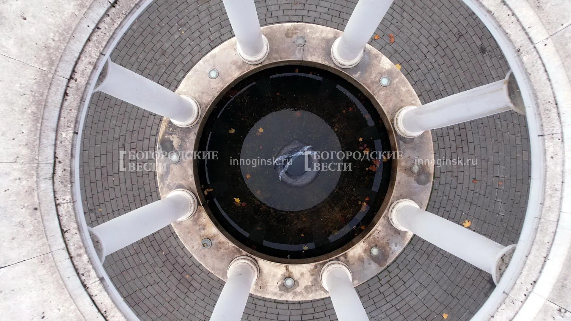 Фото: Ксения Борцова