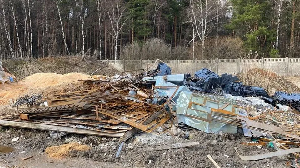 Фото: Министерство экологии и природопользования Московской области